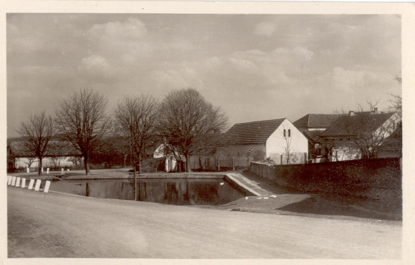Březová 1959
