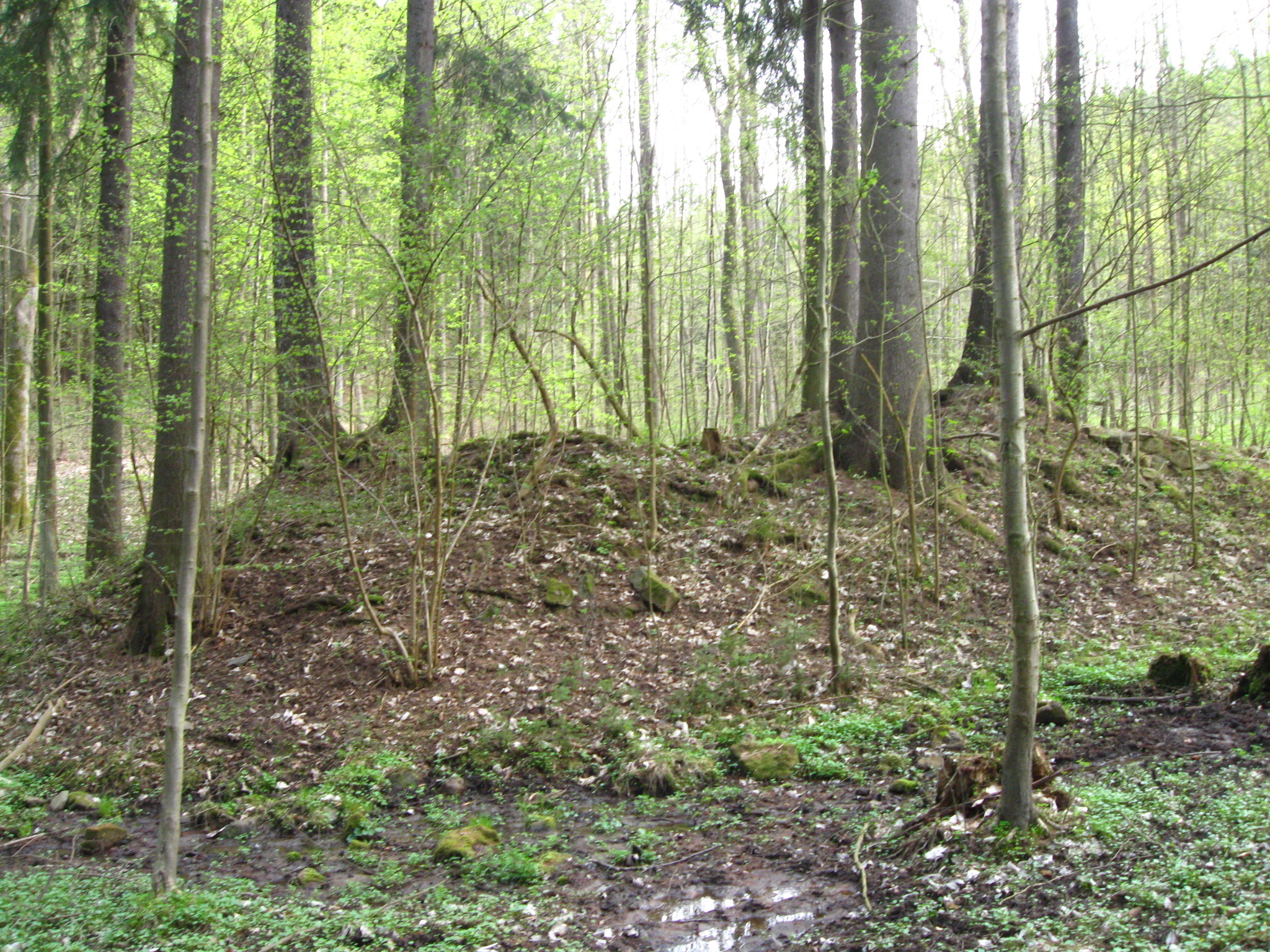 Požáry 026