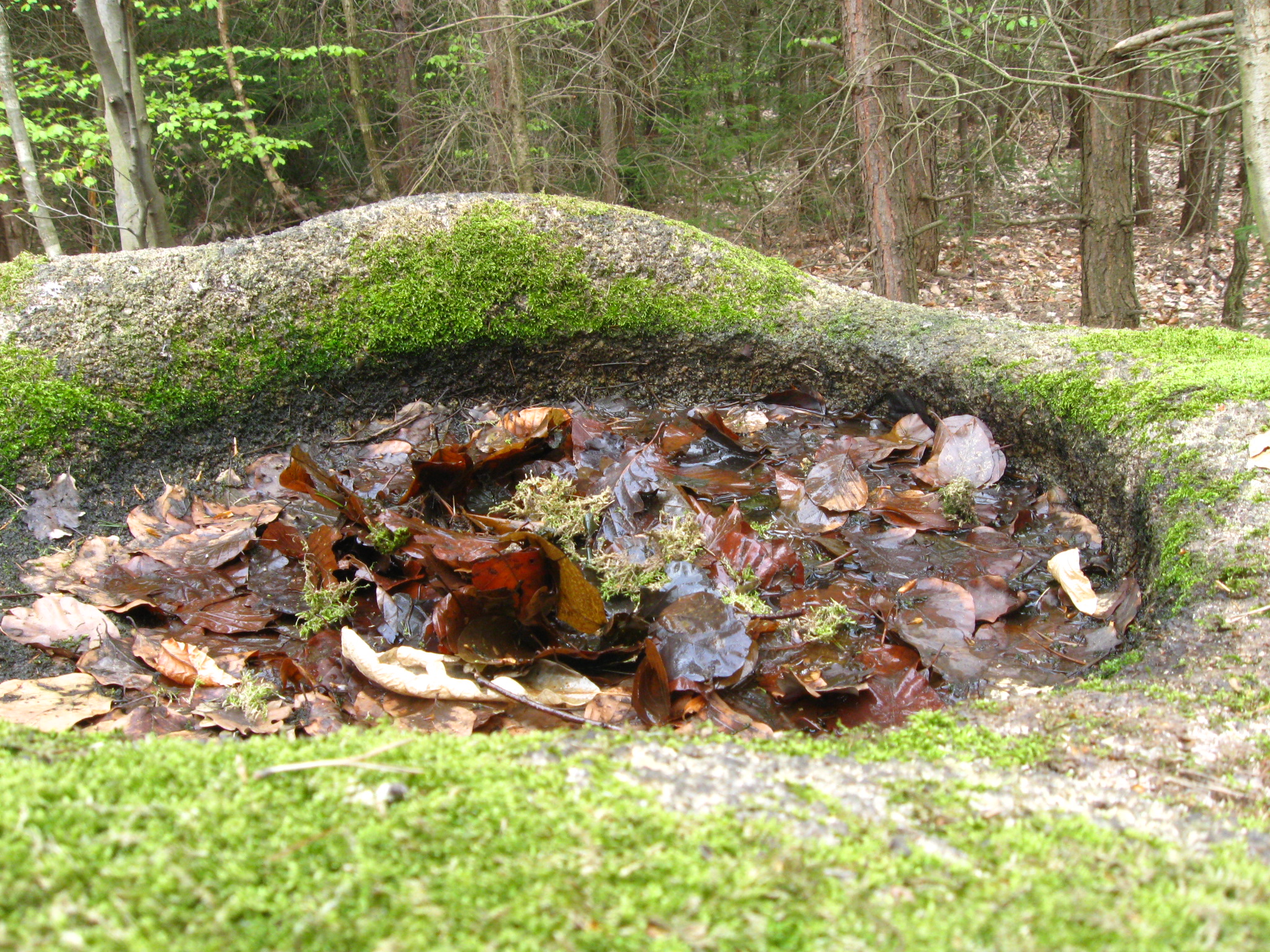 Požáry 053