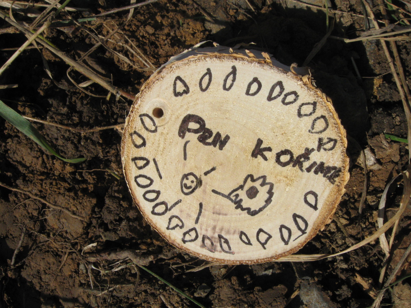 Podzim 2013 085