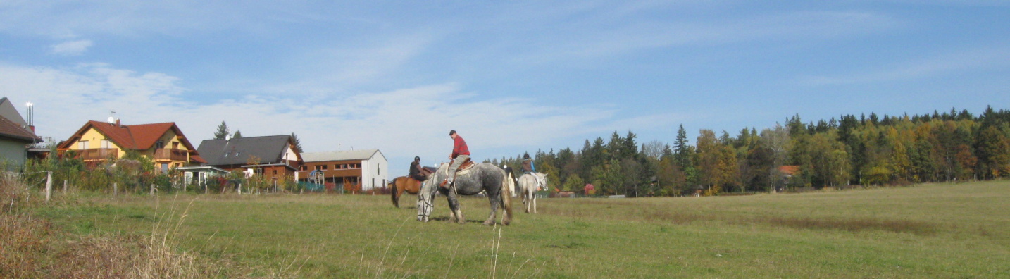 Podzim 2013 089