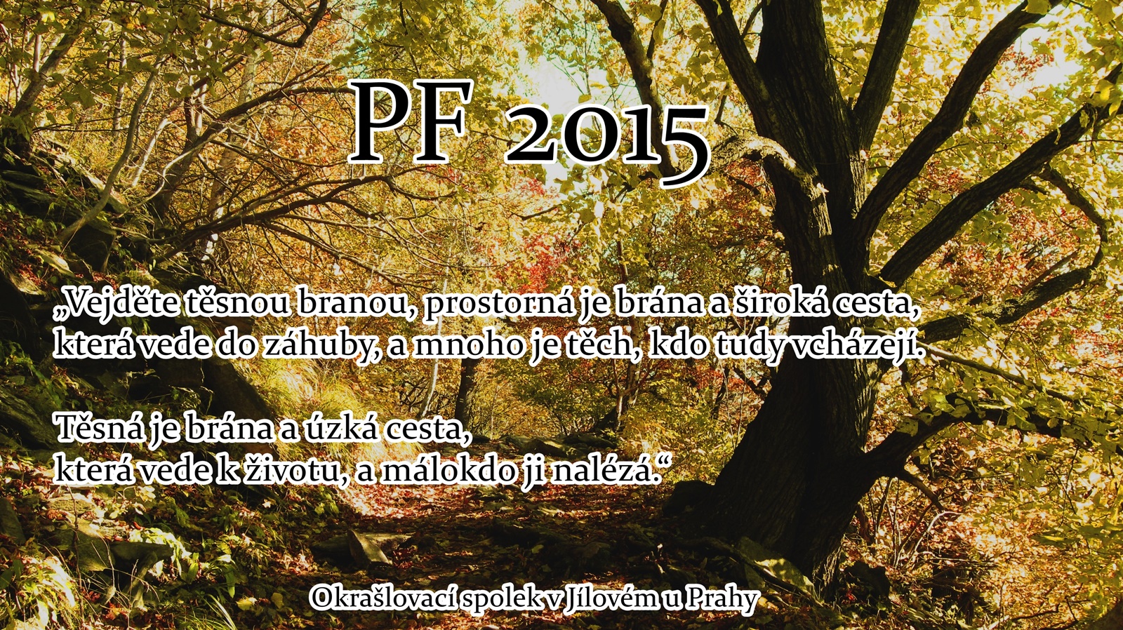 web2015